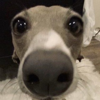 Логотип nwxrmx