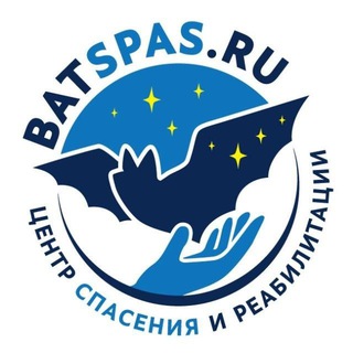 Логотип batspas