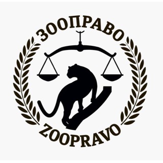 Логотип канала zoopravorf