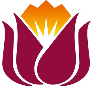 Логотип канала huamingyuan