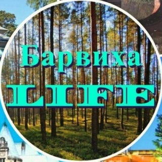 Логотип канала chat_barvikha_life