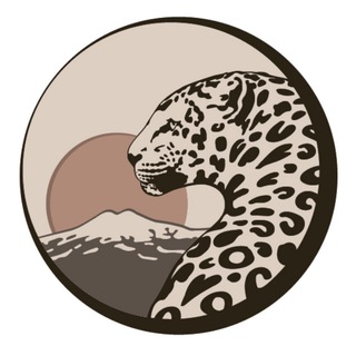 Логотип канала leopardcenter