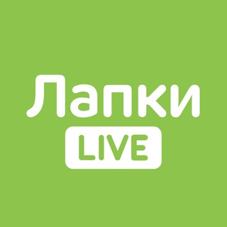 Логотип канала lapkilive