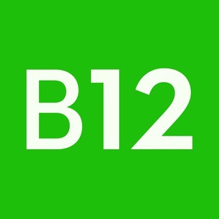 Логотип b12vs