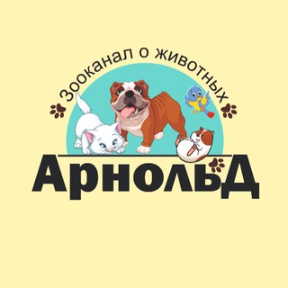 Логотип канала zooarnold