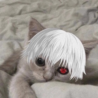 Логотип animecatss