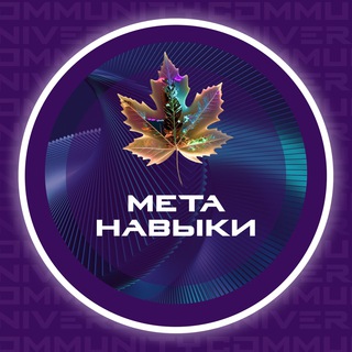 Логотип канала metanaviki