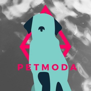 Логотип канала PETM0DA