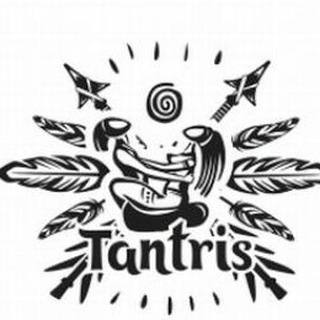 Логотип канала tantris_school