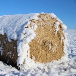 Логотип wekirbibim