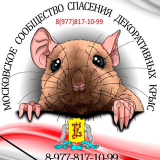 Логотип mccdk