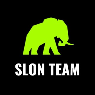 Логотип канала slon_team_obzor