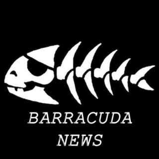 Логотип канала barracudanew