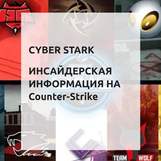 Логотип cyberstarksliv