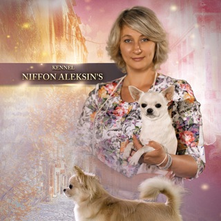 Логотип niffonaleksins