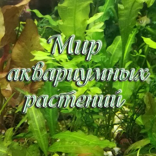 Логотип канала mir_aquaplants