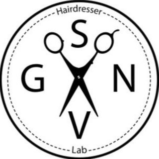 Логотип канала gsnv_lab