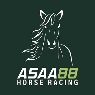 Логотип канала asaa88_horse