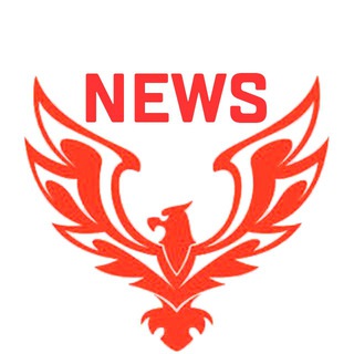 Логотип канала redwingnews