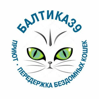 Логотип baltika39_cat