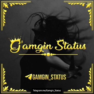 Логотип gamgin_status