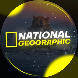 Логотип канала nationai_geographic