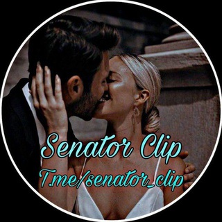 Логотип senator_clip