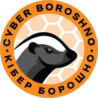 Логотип канала kiber_boroshno