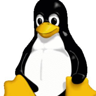 Логотип канала linux_wit