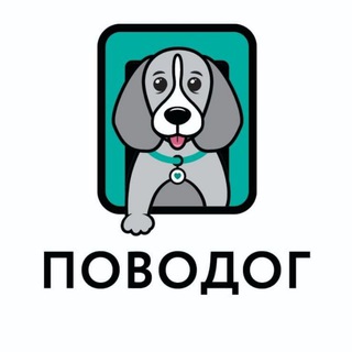 Логотип канала povodog