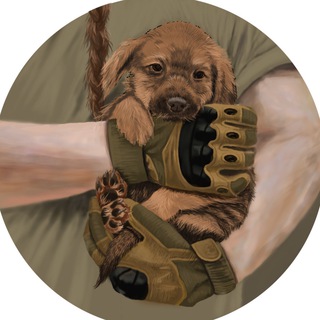 Логотип канала dog_rescue_in_war