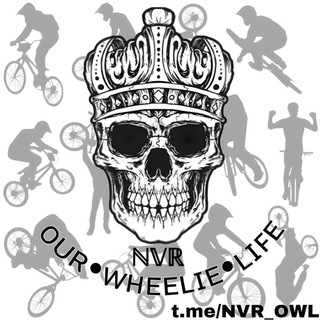 Логотип канала nvr_owl