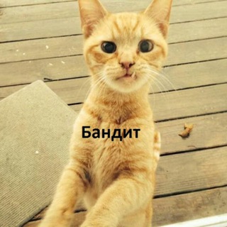 Логотип канала AAAAAFkgdfHpEdHis2qjmg