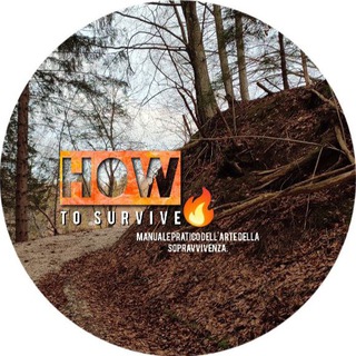 Логотип howtosurvive33