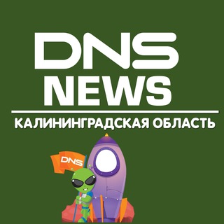 Логотип DNS_KGD