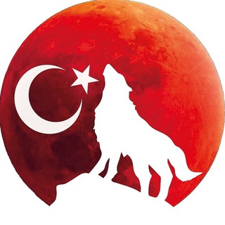 Логотип канала istanbul_wolf