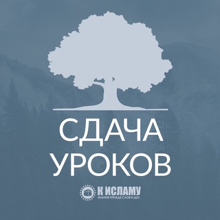 Логотип канала sdacha_urokov