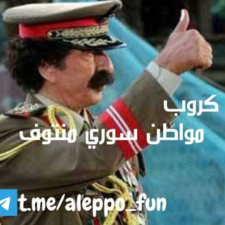 Логотип aleppo_fun12