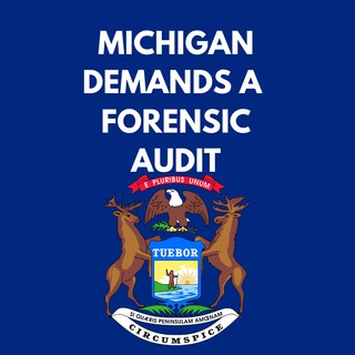 Логотип michiganaudit