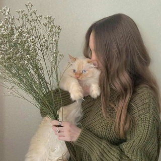 Логотип канала kitty_lovers