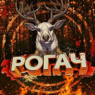 Логотип канала rogach_18here