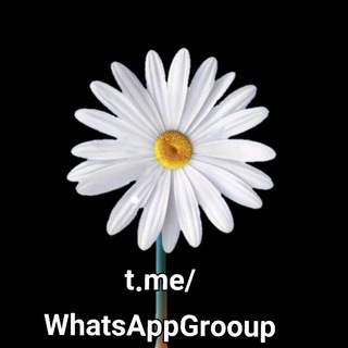 Логотип канала whatsappgrooup