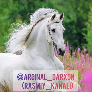 Логотип arginal_darxon