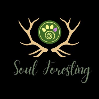 Логотип канала soulforesting