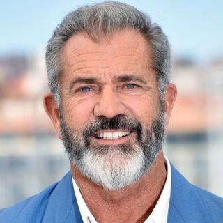 Логотип themelgibson