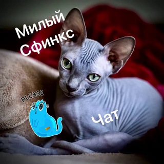 Логотип sphynx_chat