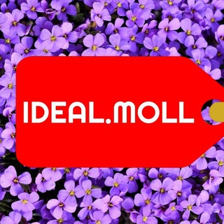 Логотип канала idealmoll