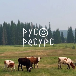 Логотип канала pycpecypc