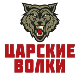 Логотип канала russian_shock_volunteer_brigade