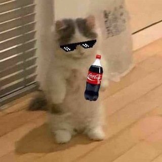 Логотип taamaagootchi